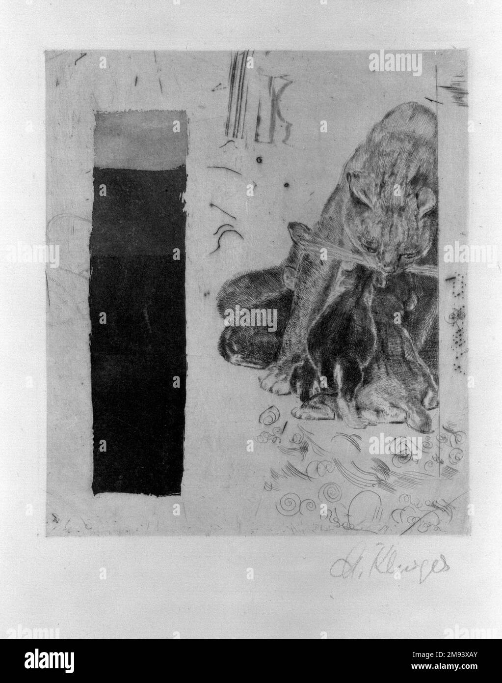 Katzen, A Study Max Klinger (Deutsche, 1857-1920). , 20. Jahrhundert. Trockenpunkt auf liegendem Papier, 5 3/16 x 4 3/8 Zoll (13,1 x 11,1 cm). Europäische Kunst des 20. Jahrhunderts Stockfoto