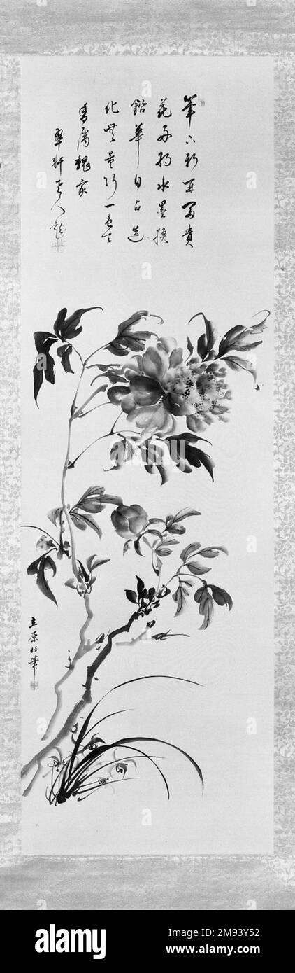 Pfingstrosen und Orchideen Tachihara Kyosho (Japanisch, 1785-1840). , Ca. 1790-1810. Tinte und leichte Farbe auf Papier, 50 x 16 Zoll (127 x 40,6 cm). Asiatische Kunst ca. 1790-1810 Stockfoto