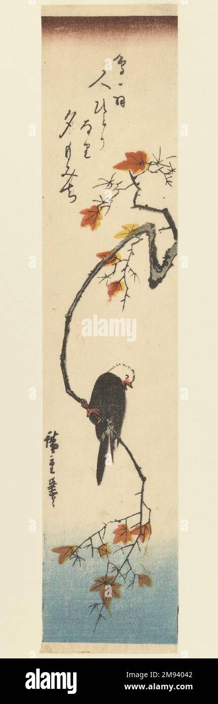 Bunting auf einem Ahornzweig Utagawa Hiroshige (Ando) (Japanisch, 1797-1858). , Ca. 1840. Holzblockdruck, Bild: 13 9/16 x 6 3/4 Zoll (34,5 x 17,2 cm). Asiatische Kunst ca. 1840 Stockfoto