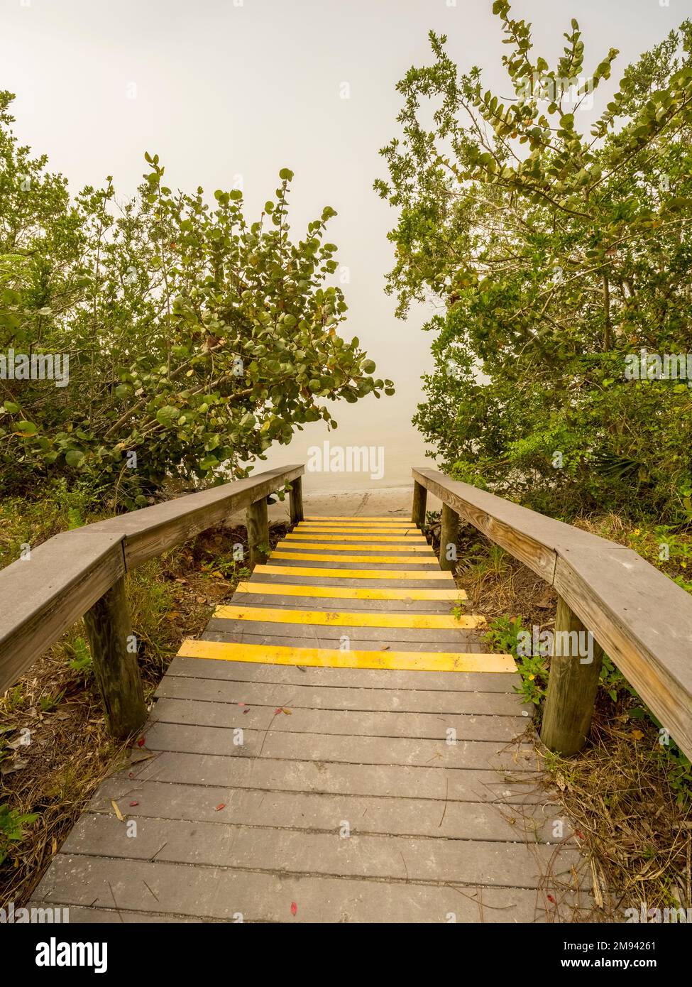 Fußweg zum Wasser im Lemon Bay Park in Englewood, Florida, USA Stockfoto