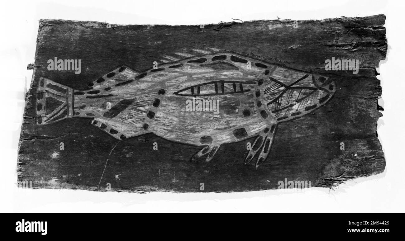 Rindengemälde von Barramundi Fish Aboriginal Australian. Barramundi Fish aus dem 20. Jahrhundert. Rinde, ockerfarben, 18 x 36,5 x 2 Zoll (45,7 x 92,7 x 5,1 cm). Arts of the Pacific Islands 20. Jahrhundert Stockfoto