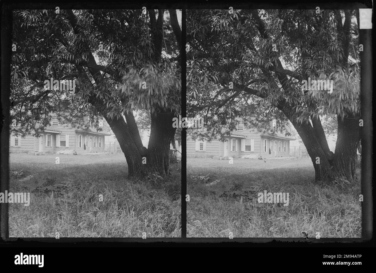 Bergen House, Vista, Bergen Beach, Flatlands, Brooklyn Daniel Berry Austin (Amerikaner, geb. 1863, aktiv 1899-1909). , Ca. 1899-1909. Trockenplatte aus Silber-Gelatine-Glas negativ ca. 1899-1909 Stockfoto