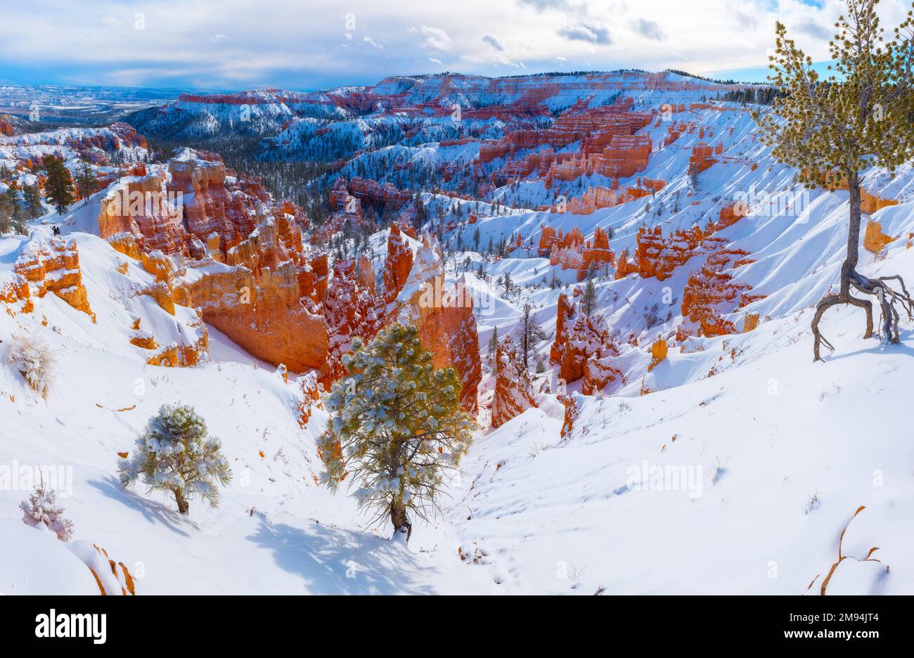 Bryce Canyon Nationalpark Stockfoto