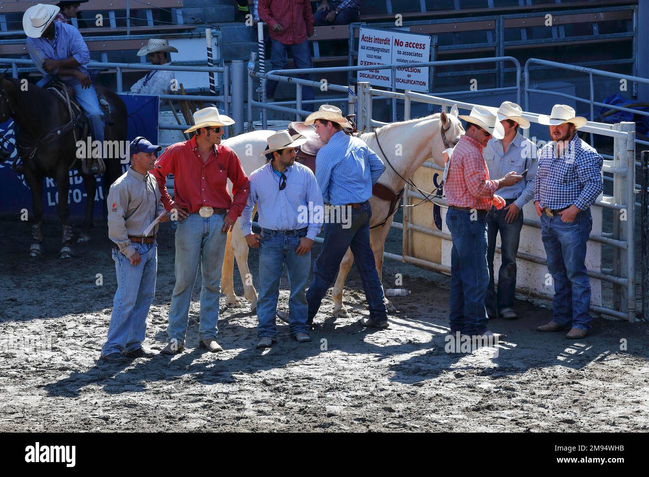 Rodeo-Wettbewerb, Rodeo-Fahrer, Saint, Tite, Provinz Quebec, Kanada Stockfoto