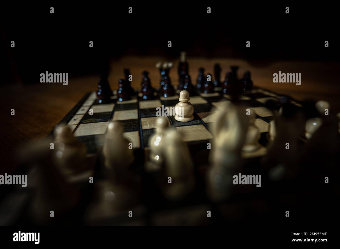 Das Set aus hölzernen Schachfiguren Element, König, Königin Turm, Bischof, Ritter, Bauer steht auf Schachbrett auf dunklem Hintergrund. Führung, Teamarbeit Stockfoto