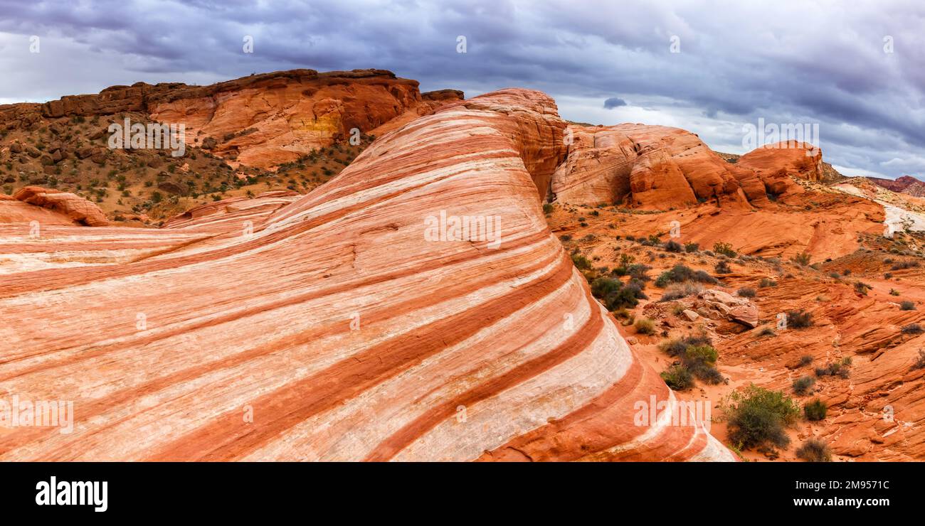 Felsformation aus rotem Sandstein Fire Wave im Valley of Fire State Park Panoramafahrt durch Nevada in den USA Stockfoto