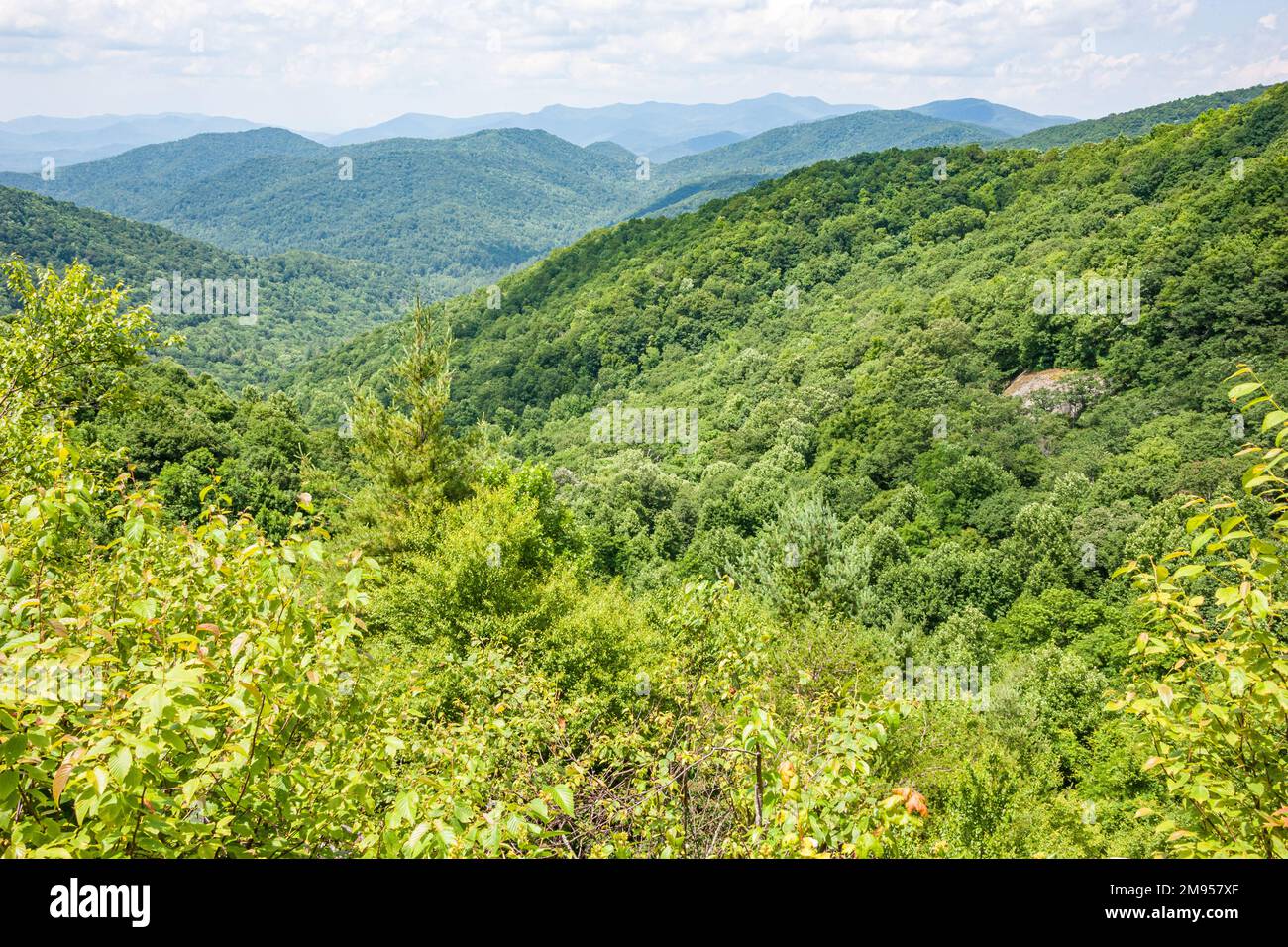 Blick auf die Blue Ridge Mountains in der Nähe des Appalachian Trail im Norden von Georgia. (USA) Stockfoto