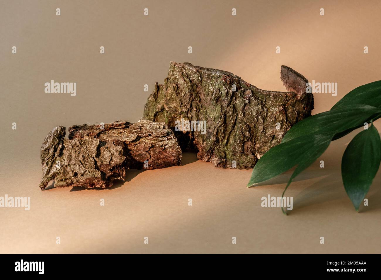 Naturzusammensetzung Eco zeigt Rindenblätter aus Holz Stockfoto