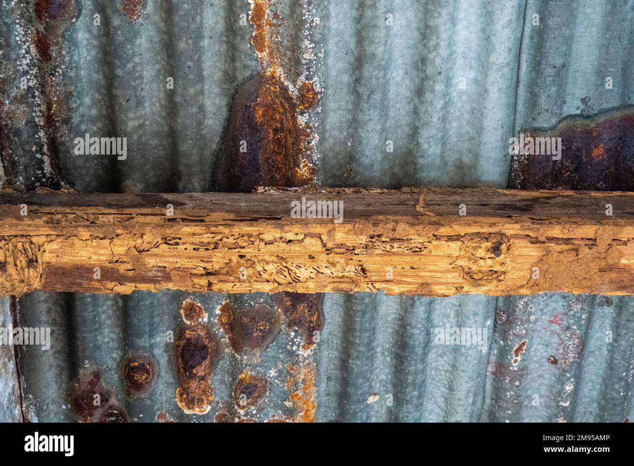 Rostiger Zinnzaun und verrottetes hölzernes Oberrohr Stockfoto