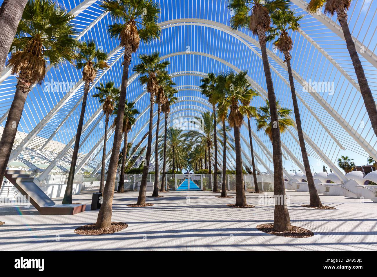 Valencia, Spanien - 17. Februar 2022: Ciutat de les Arts i les Ciencies mit L’Umbracle-Gebäude, moderne Architektur von Santiago Calatrava in Valencia, Stockfoto