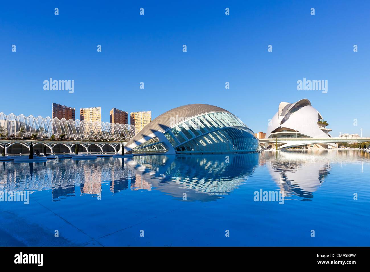 Valencia, Spanien - 18. Februar 2022: Ciutat de les Arts i les Ciencies Moderne Architektur von Santiago Calatrava in Valencia, Spanien. Stockfoto
