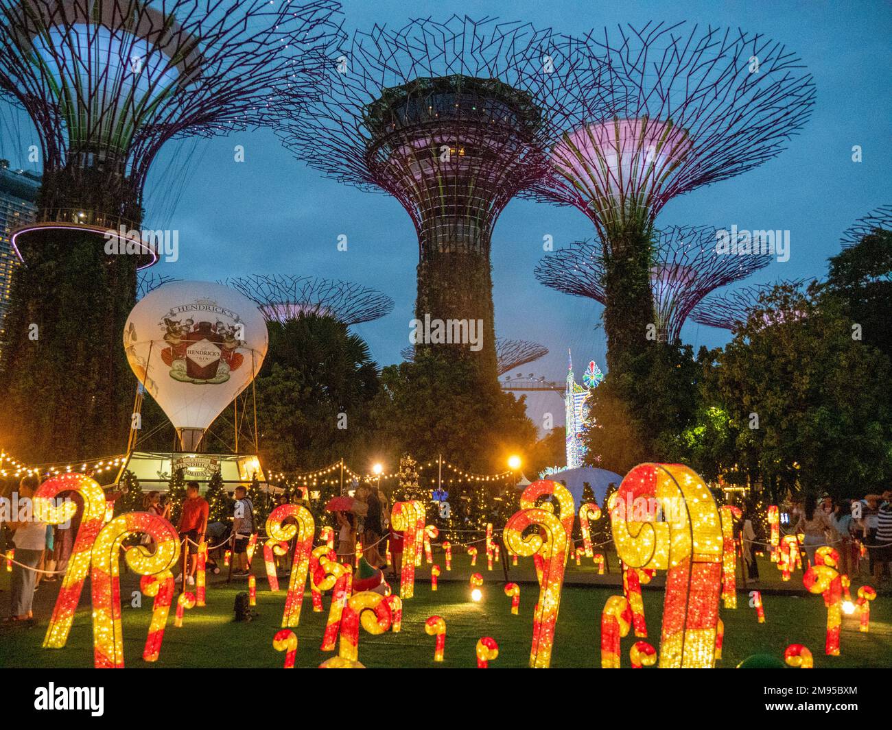 Beleuchtete Supertrees vertikale Gärten bei Nacht in Gardens by the Bay Singapore Stockfoto
