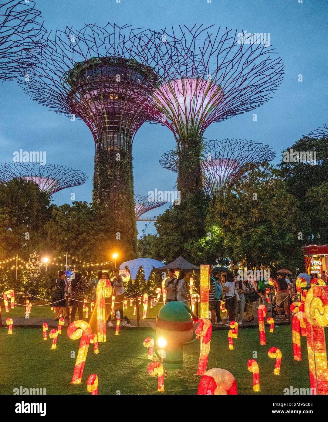 Beleuchtete Supertrees vertikale Gärten bei Nacht in Gardens by the Bay Singapore Stockfoto
