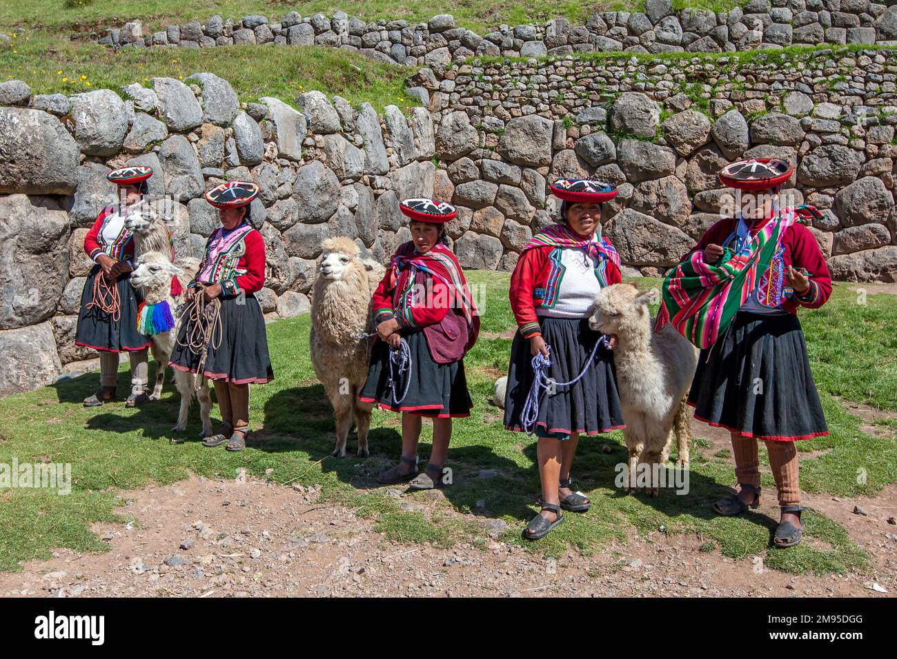 Peruanische Frauen tragen traditionelle Jobonas- und Monteras-Hüte. Sie versammeln sich mit Alpakas an der antiken Stätte Sacsayhuaman in Cusco in Peru. Stockfoto