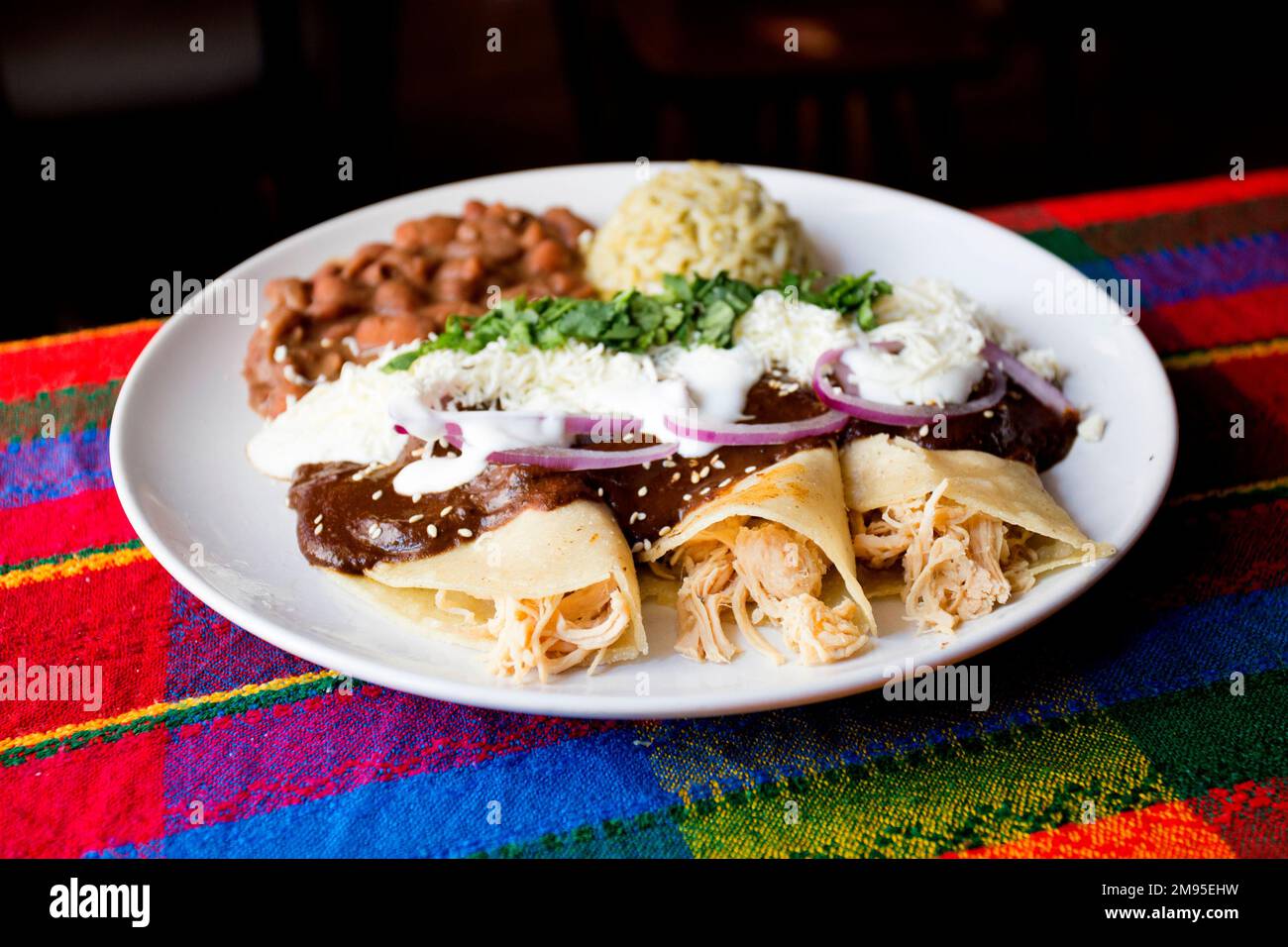Die Fajita ist eines der traditionellsten und beliebtesten Gerichte der Tex-Mex-Küche. Es besteht aus Fleisch, das auf dem Grill geröstet und in Streifen geschnitten wird Stockfoto