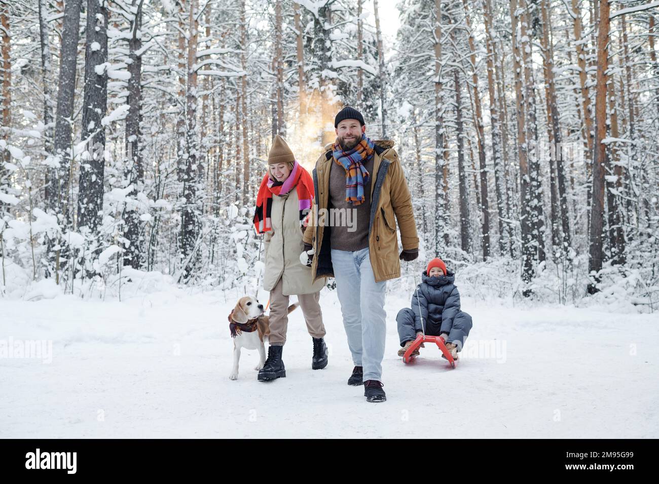 Familienfahrten mit der Tochter und Spaziergänge mit dem Hund im Wald während der Winterferien Stockfoto