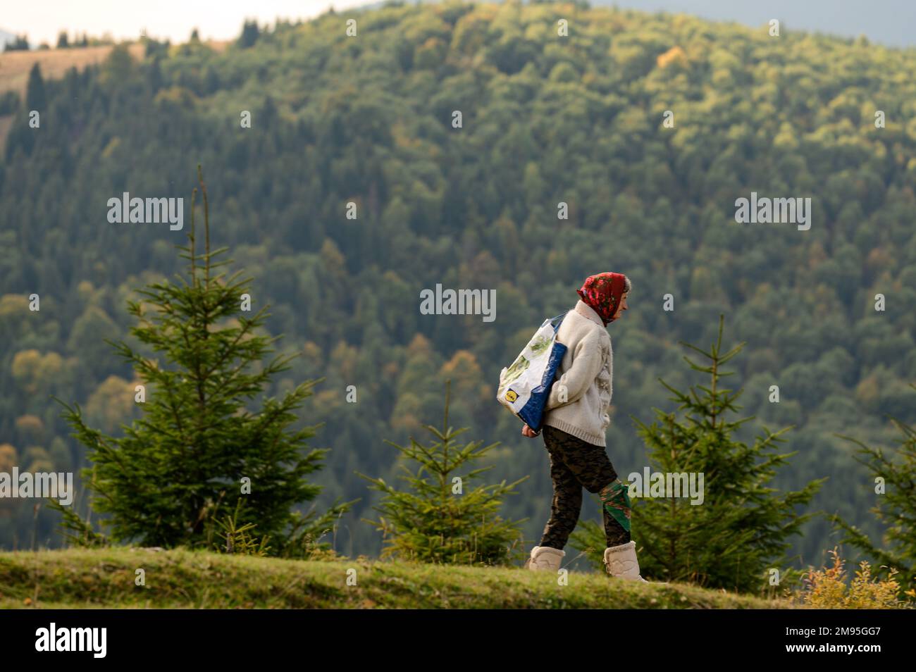 Ivano-Frankivsk, Ukraine 30. September 2021: Eine Einheimische in den Bergen trägt eine Tasche auf ihren Schultern, das Leben der Frauen in den Bergen. Stockfoto