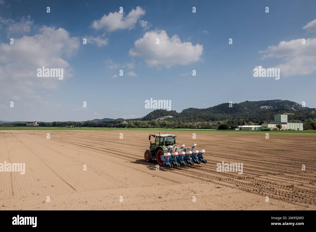 Pertuis (Südostfrankreich): Setzlinge auf einem Feld der landwirtschaftlichen Ebene von Pertuis, Traktor mit Sämaschine auf einem gepflügten Land Stockfoto