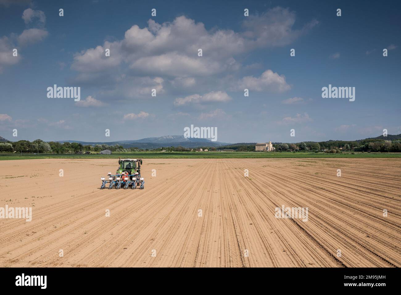 Pertuis (Südostfrankreich): Setzlinge auf einem Feld der landwirtschaftlichen Ebene von Pertuis, Traktor mit Sämaschine auf einem gepflügten Land Stockfoto