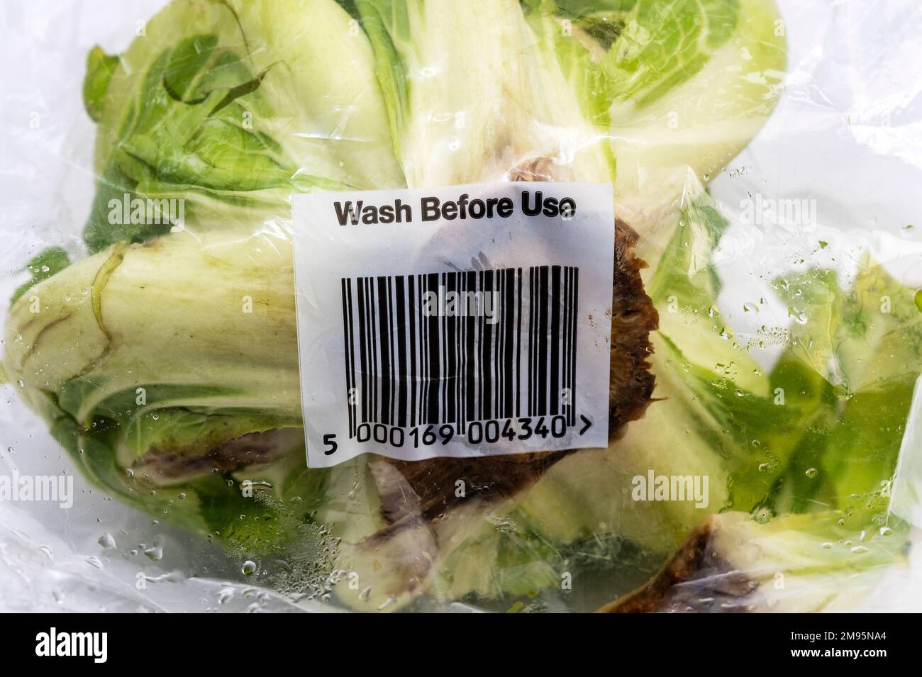 Blumenkohl vor Gebrauch waschen Stockfoto