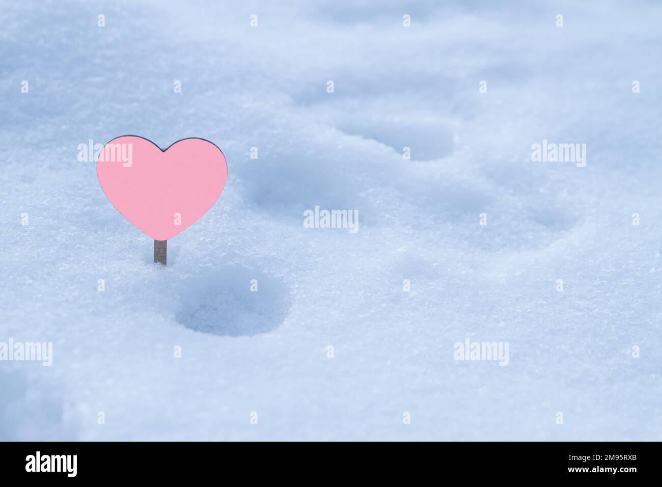 Ein Rose-Herz auf Schneehintergrund. St. Valentinstagskonzept Stockfoto