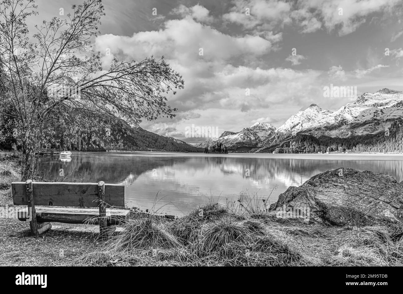 Parkbank in Herbstlandschaft am Lake Sils, Engadine, Schweiz, mit Piz Margna im Hintergrund in Schwarz und Weiß Stockfoto