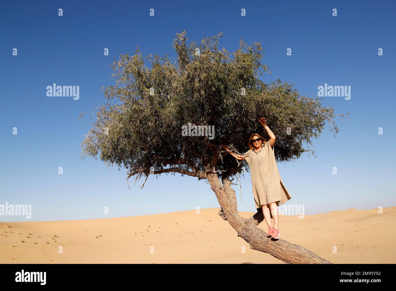 Eine Frau, die auf einem Akazienbaum in der Wüste Abu Dhabi steht. Vereinigte Arabische Emirate. Stockfoto
