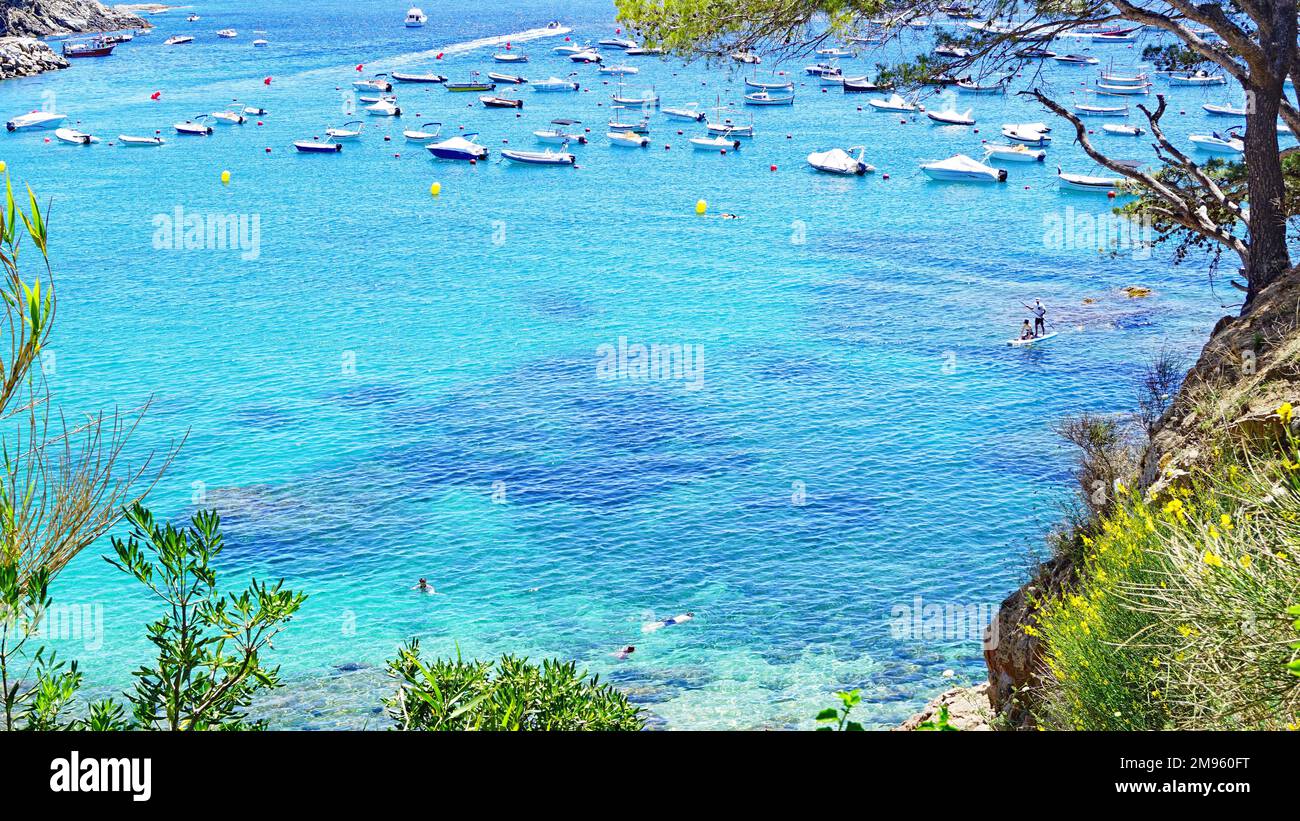 Camino de Ronda de Llafranc a Calella de Palafrugell, Girona, Catalunya, Spanien, Europa Stockfoto