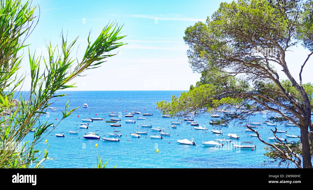 Camino de Ronda de Llafranc a Calella de Palafrugell, Girona, Catalunya, Spanien, Europa Stockfoto