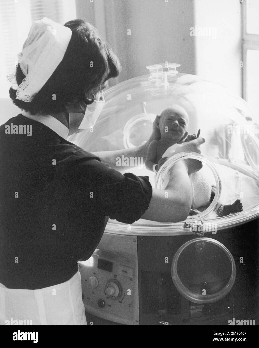 Eine Krankenschwester behandelt ein Frühgeborenes vorsichtig und hält seinen Kopf im Inkubator. Stockfoto