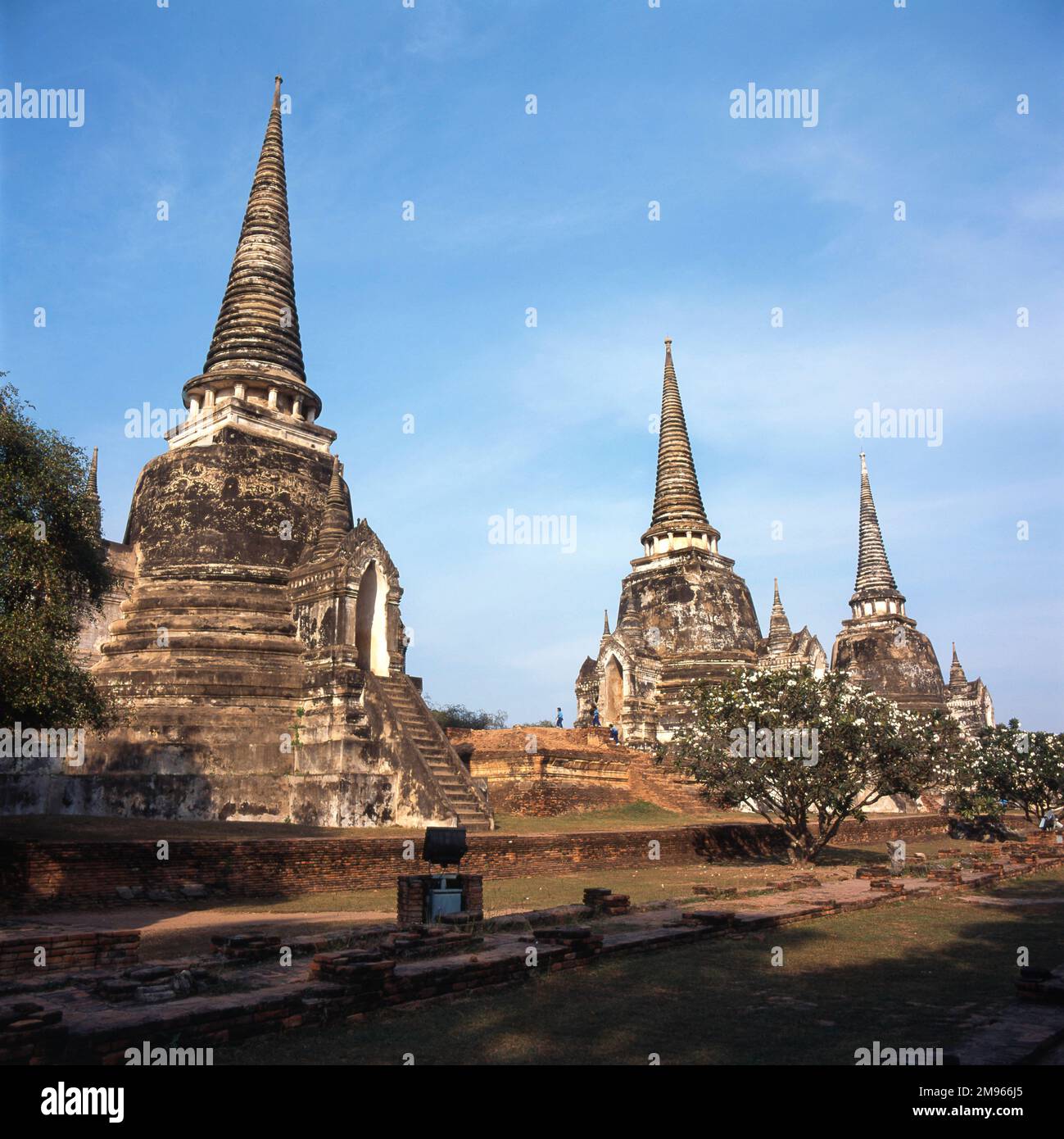 Blick auf die drei glockenförmigen Chedis (königliche Gräber) des Wat Phra Si Sanphet Tempels (erbaut zwischen 1492 und 1532) in Ayutthaya, Thailand. Der Tempel erhielt seinen Namen aus dem großen Buddha-Bild, das dort 1503 errichtet wurde -- er wurde zerstört, als die Burmesen die Stadt 1767 plünderten. Stockfoto