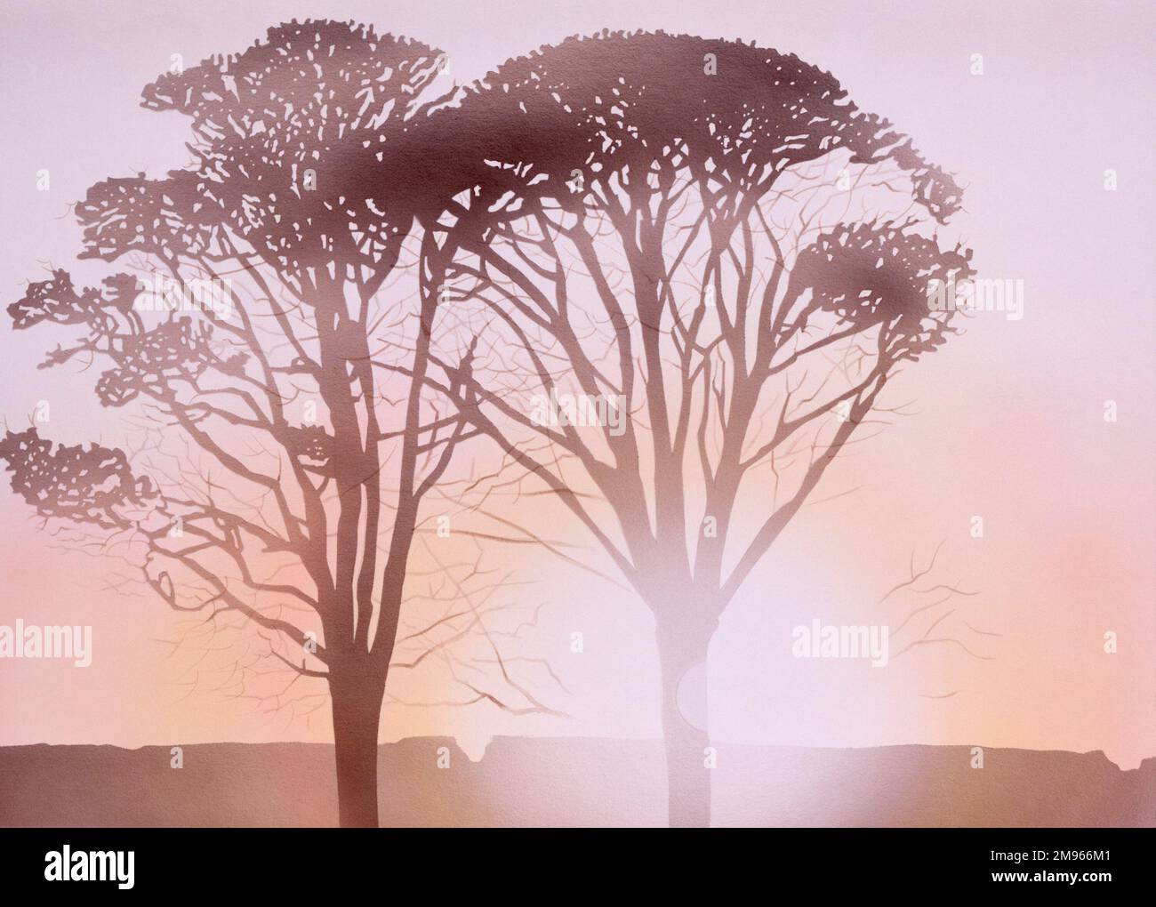 Die letzten Sonnenstrahlen des Tages werfen zwei herbstliche Bäume in eine scharfe Silhouette. Airbrush-Malerei von Malcolm Greensmith Stockfoto