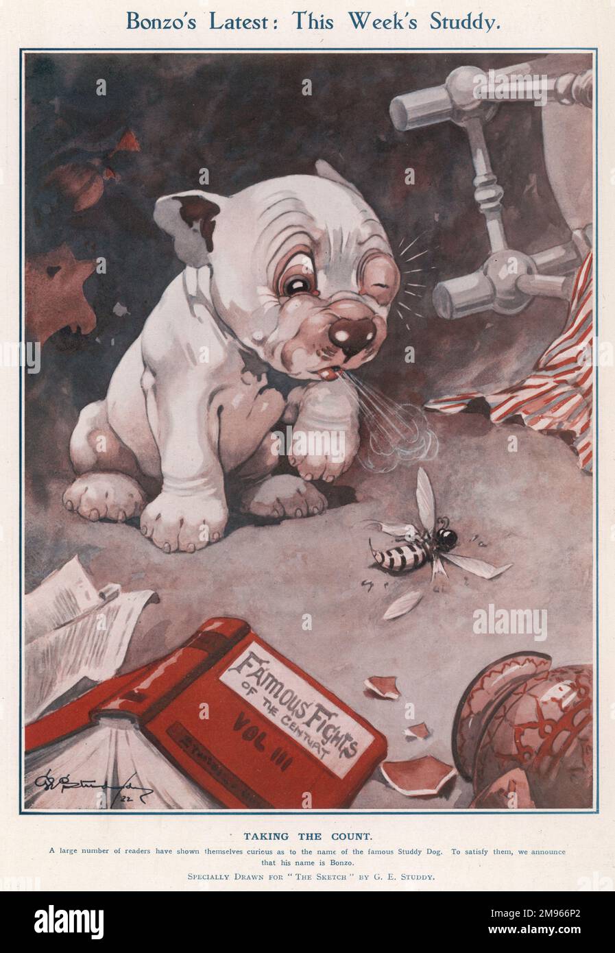 Bonzo hat ein paar Runden mit einer Wespe und scheint eine Kräuterpflanze mit geschwollenem Auge zu haben. Die Kreditlinie muss lauten: ©Estate of George Studdy/Gresham Marketing Ltd./Mary Evans Stockfoto