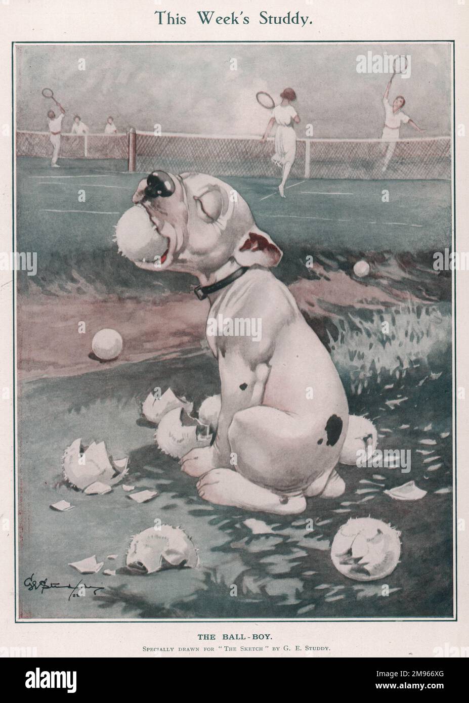 Bonzo, die komische Hundehunde von George Studdy, sitzt am Rande eines Tennisplatzes und kaut sich ziemlich ungezogen durch eine Reihe von Tennisbällen. Die Kreditlinie muss lauten: ©Estate of George Studdy/Gresham Marketing Ltd./Mary Evans Stockfoto