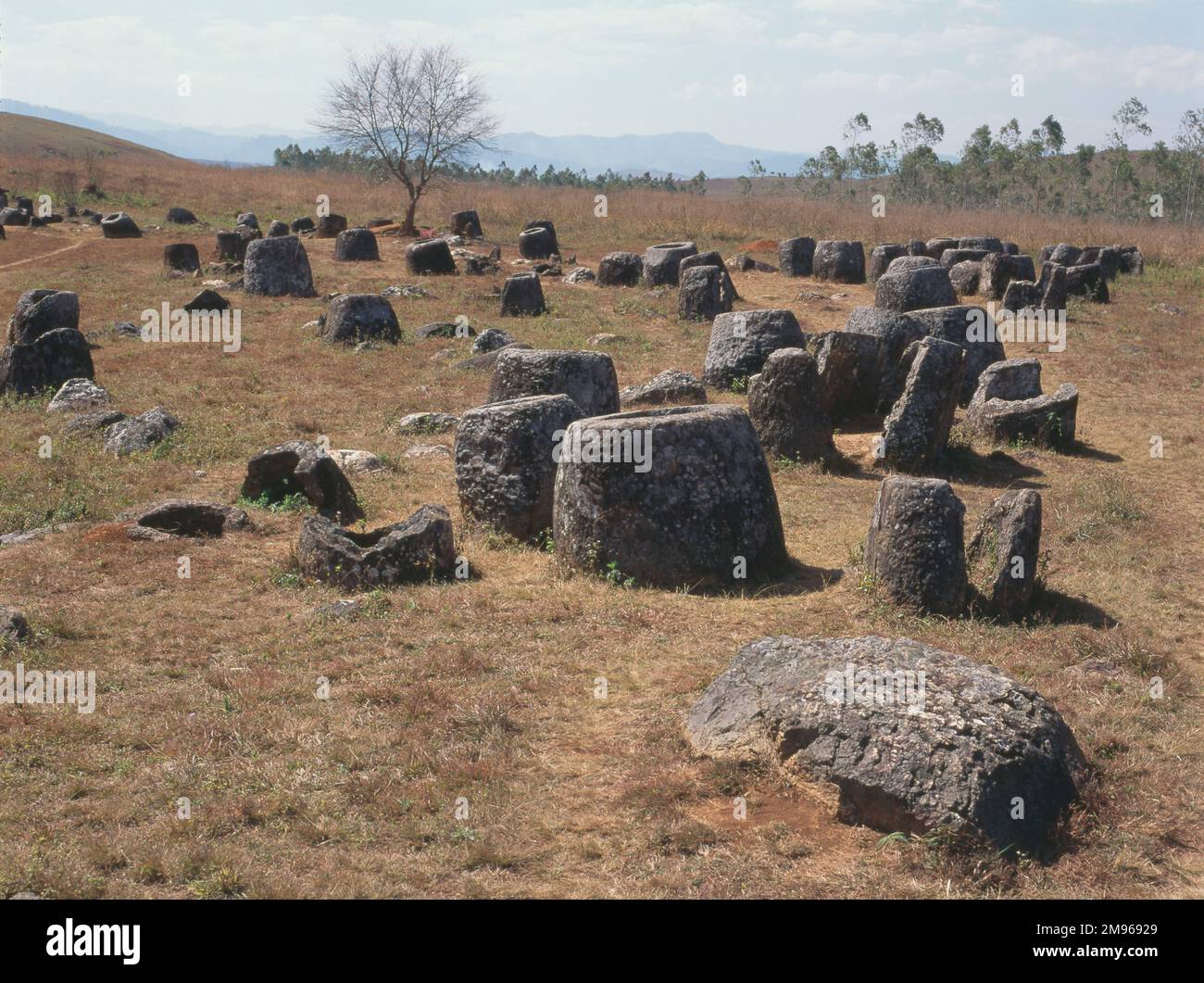 Beerdigungscontainer in der Ebene der Gläser in Xieng Khouang, Phonsavan, Laos. Tausende dieser Steingläser liegen verstreut in der Xieng Khouang Ebene in den Lao Highlands - Archäologen glauben, dass die Gläser vor 1500 bis 2000 Jahren verwendet wurden. Stockfoto