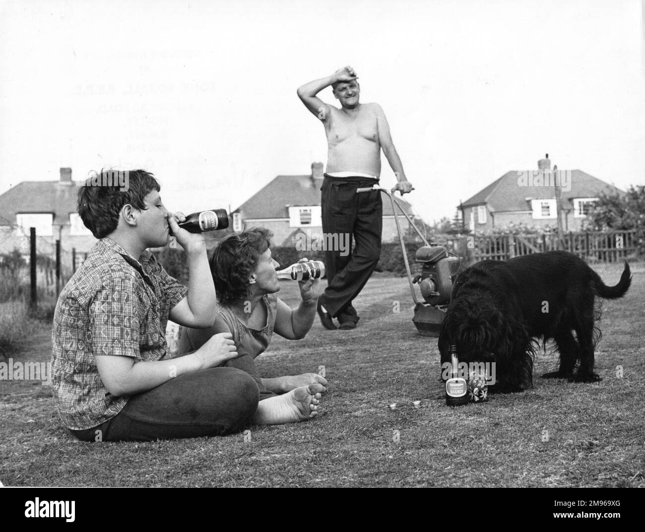 Ein Vorstadtsonntag im Garten. Mutter und Sohn halten sich mit einer Flasche Getränk kühl, während der Hund ein Glas karibische Limonade trinkt. Dad, überhitzt, gibt sich eine Pause vom Rasenmähen. Stockfoto
