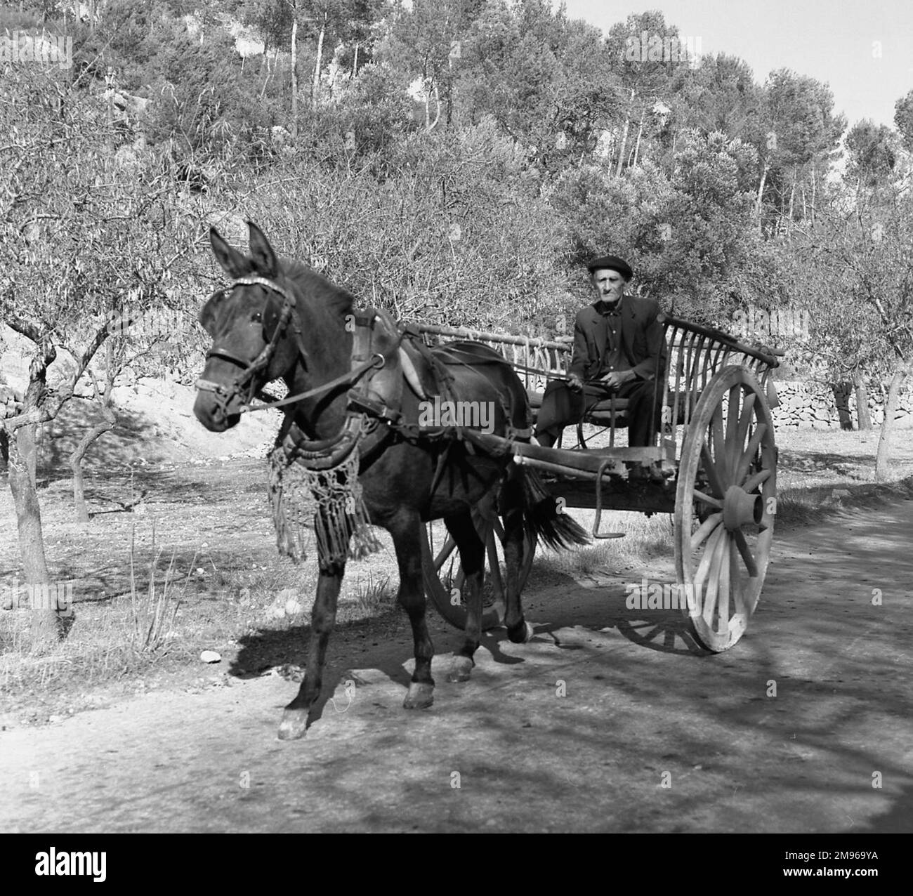 Ein Mann mit Pferd und Wagen, der auf einer Landstraße reitet. Stockfoto