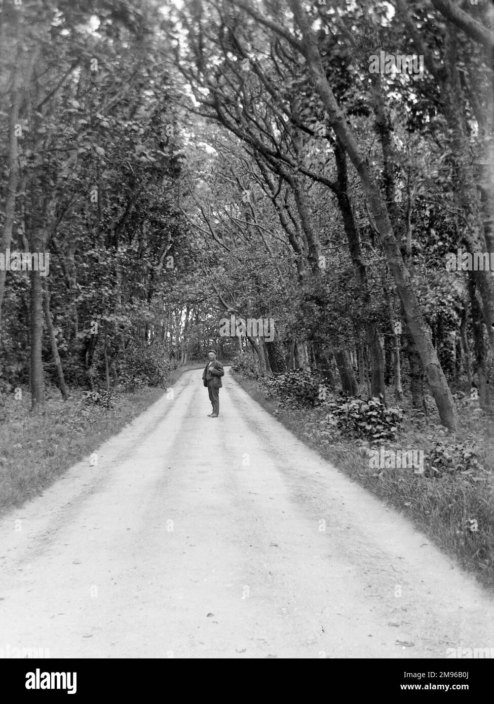 Eine von Bäumen gesäumte Gasse in der Nähe von Whitchurch, einem Dorf weniger als eine Meile vom Dorf Solva, Pembrokeshire, Dyfed, Südwales entfernt. Ein Mann steht in der Mitte und schaut direkt in die Kamera. Stockfoto