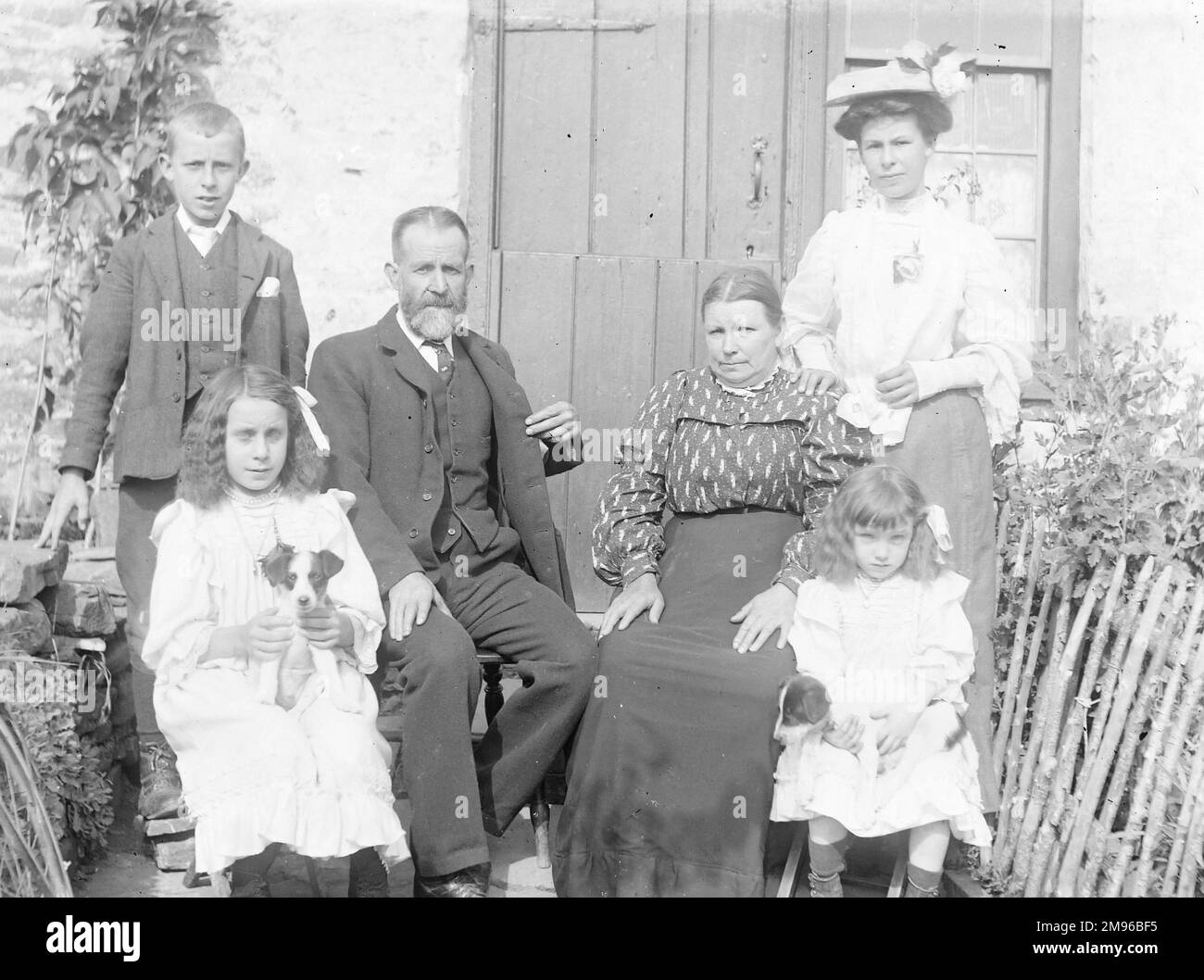 Eine Familie (Eltern, drei Kinder und Erwachsene Tochter) posiert für ein Gruppenfoto in ihrem Garten, wahrscheinlich in der Gegend von Mid Wales. Die beiden kleinen Mädchen halten Terrier Welpen. Stockfoto