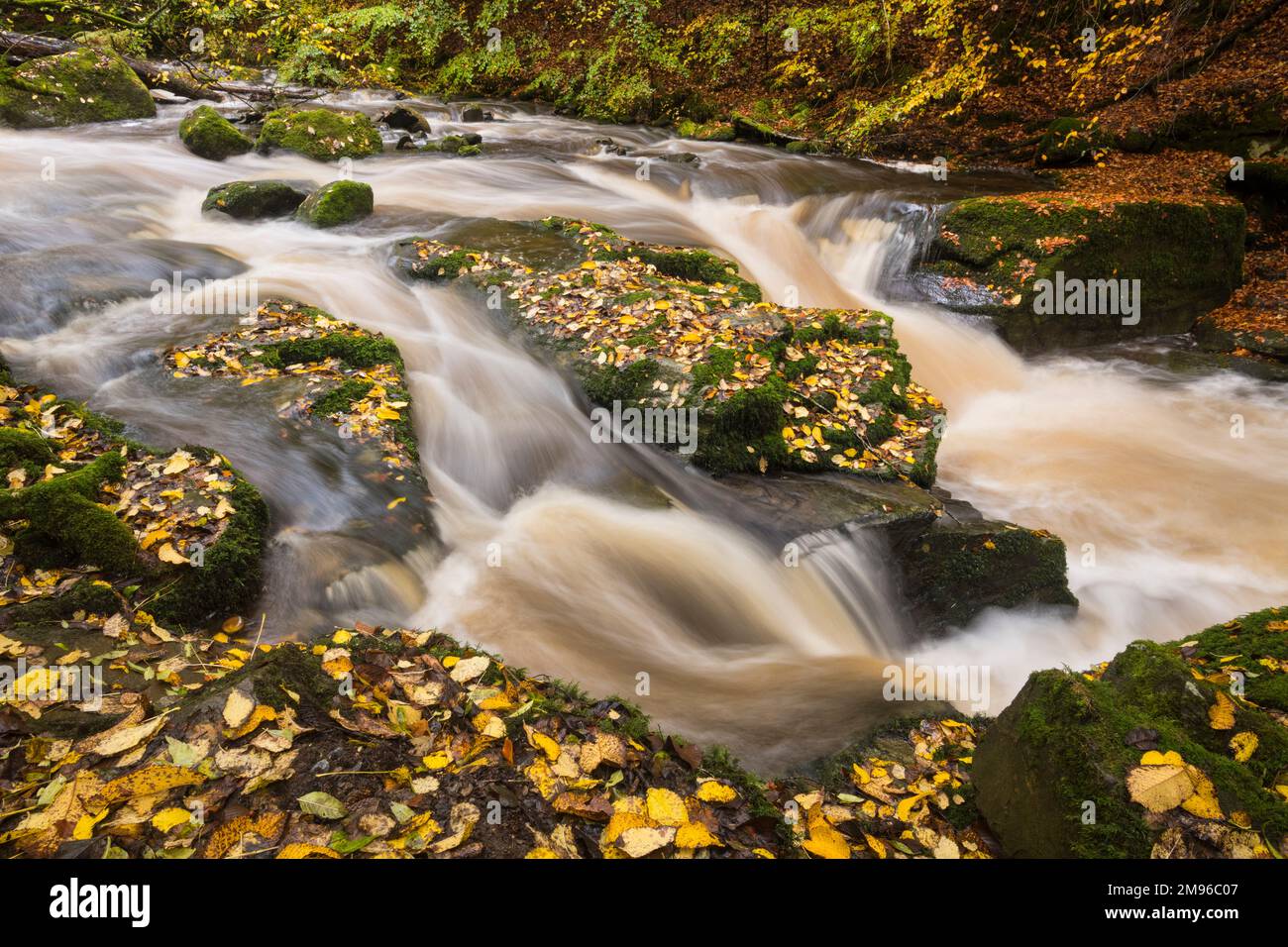 Wasserfälle bei den Birks of Aberfeldy, Moness Burn, Perth und Kinross, Schottland Stockfoto