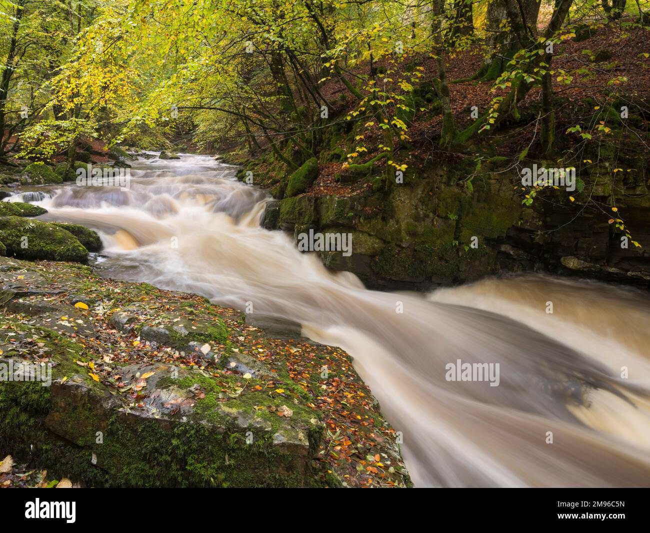 Wasserfälle bei den Birks of Aberfeldy, Moness Burn, Perth und Kinross, Schottland Stockfoto