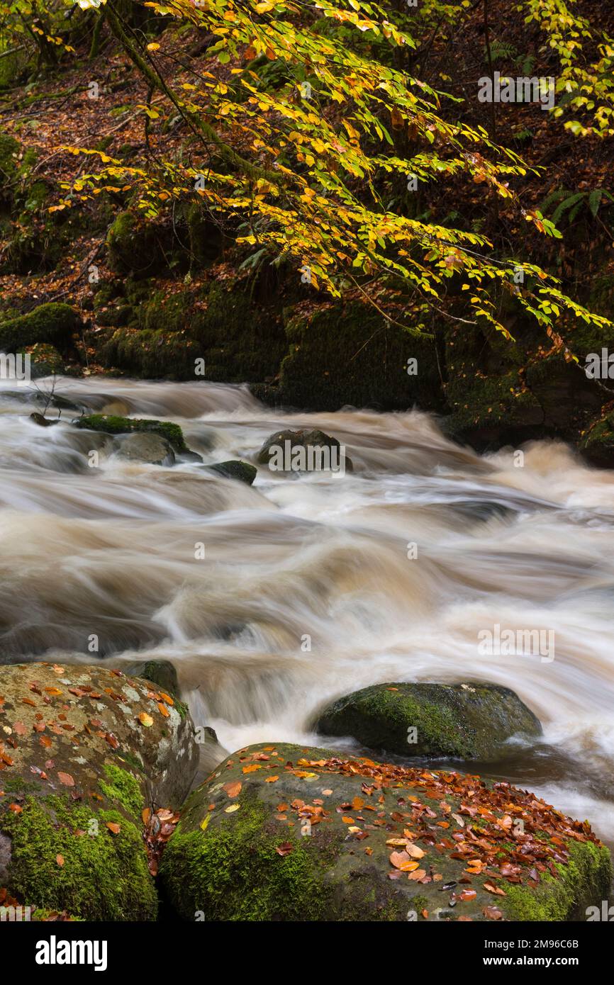 Wasserfälle bei den Birks of Aberfeldy, Moness Burn, Perth und Kinross, Schottland Stockfoto