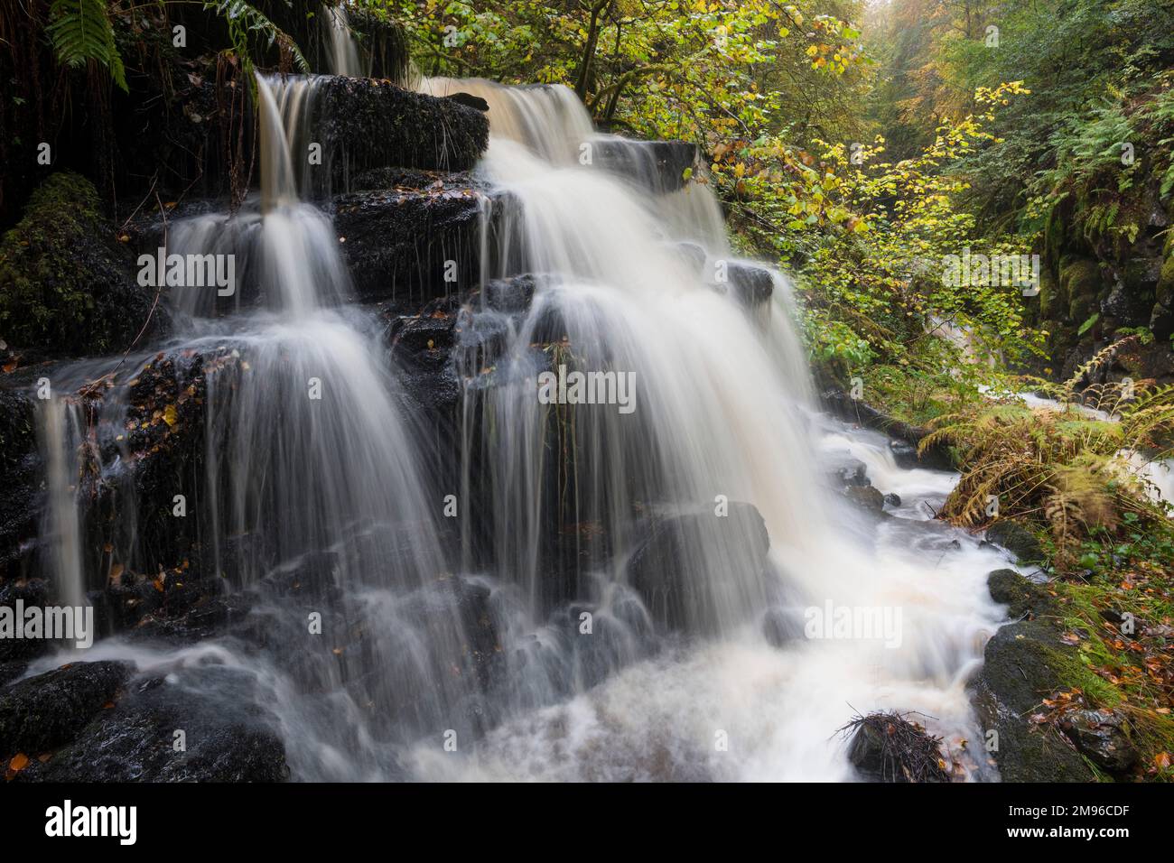 Wasserfälle bei den Birks of Aberfeldy, Moness Burn, Perth und Kinross, Schottland Stockfoto