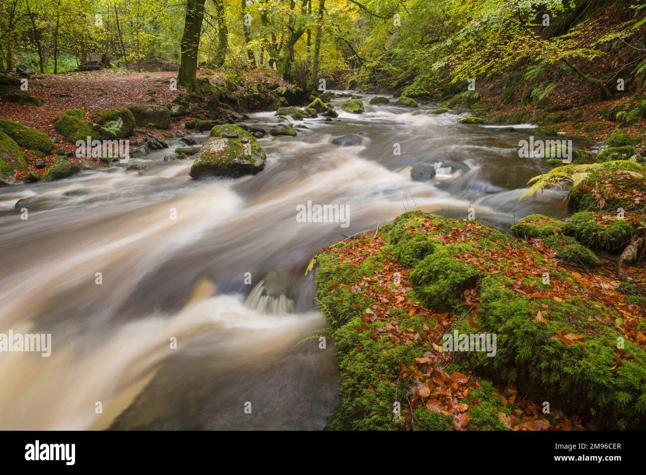Wasserfälle bei den Birks of Aberfeldy, Moness Burn, Perth und Kinross, Schottland Stockfoto