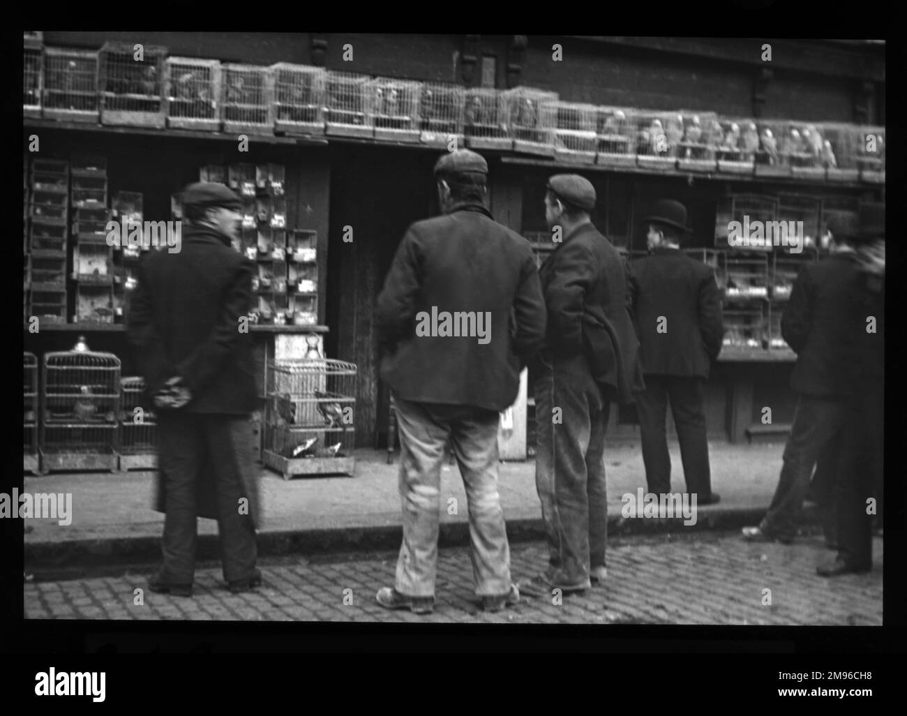 Männer stehen auf der Straße vor einem Vogelmarkt im East End von London. Die Vögel sind in zahlreichen Käfigen ausgestellt. Dies war möglicherweise in der Sclater Street, Shoreditch, in der Nähe von Bethnal Green, wo jeden Sonntag ein Vogelmarkt stattfand. Stockfoto