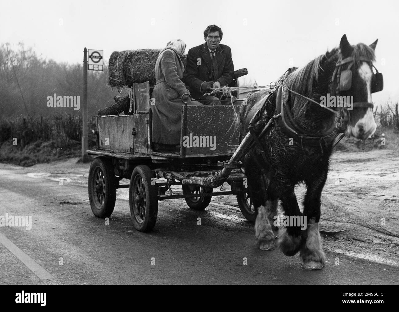 Ein Zigeunerpaar mittleren Alters, das auf einem Pferdewagen auf einer Landstraße reitet. Im Hintergrund befindet sich eine Bushaltestelle des Londoner Verkehrs. Stockfoto