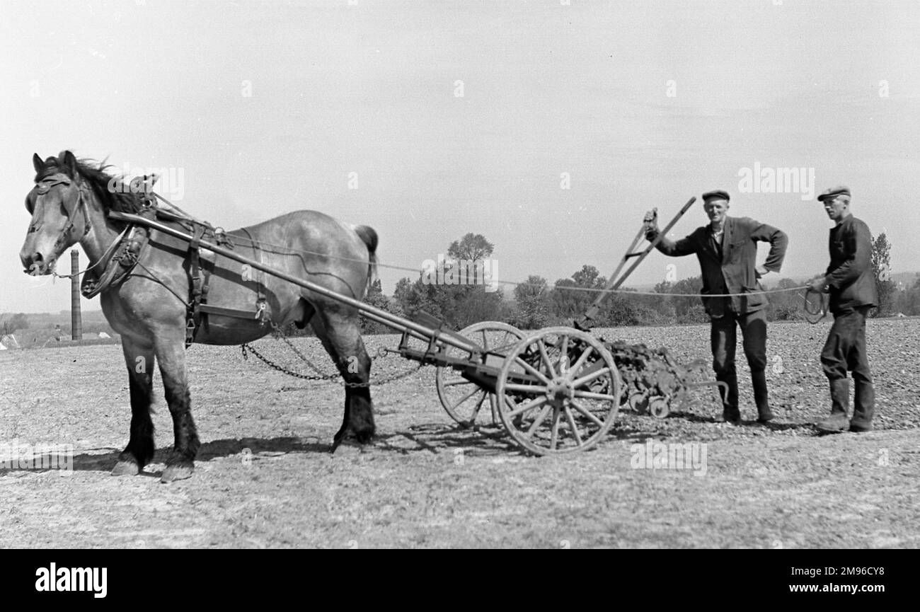 Zwei Männer, die auf einem Feld mit Pferd und Pflug arbeiten. Stockfoto
