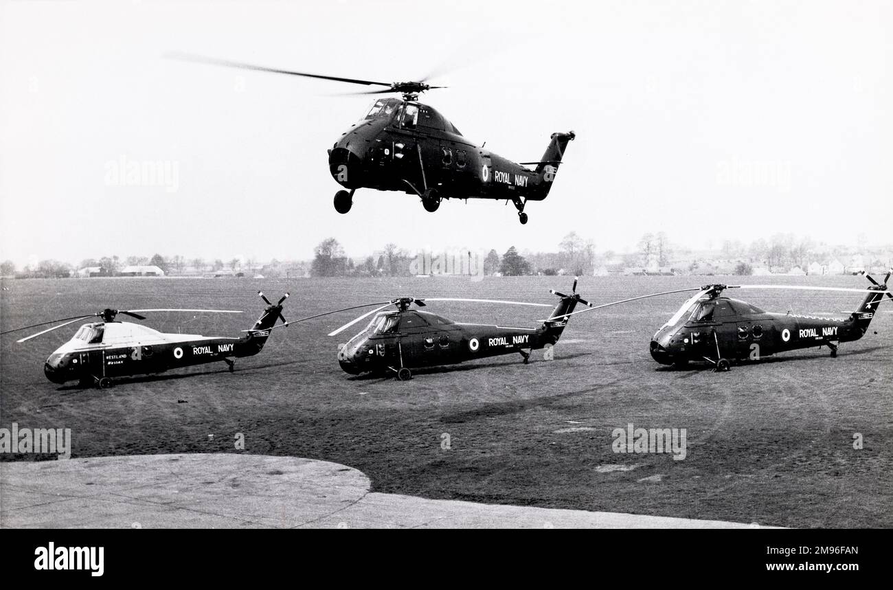 Vier Vorserienhubschrauber S58 Wessex HAS1, drei am Boden, einer schwebt Stockfoto