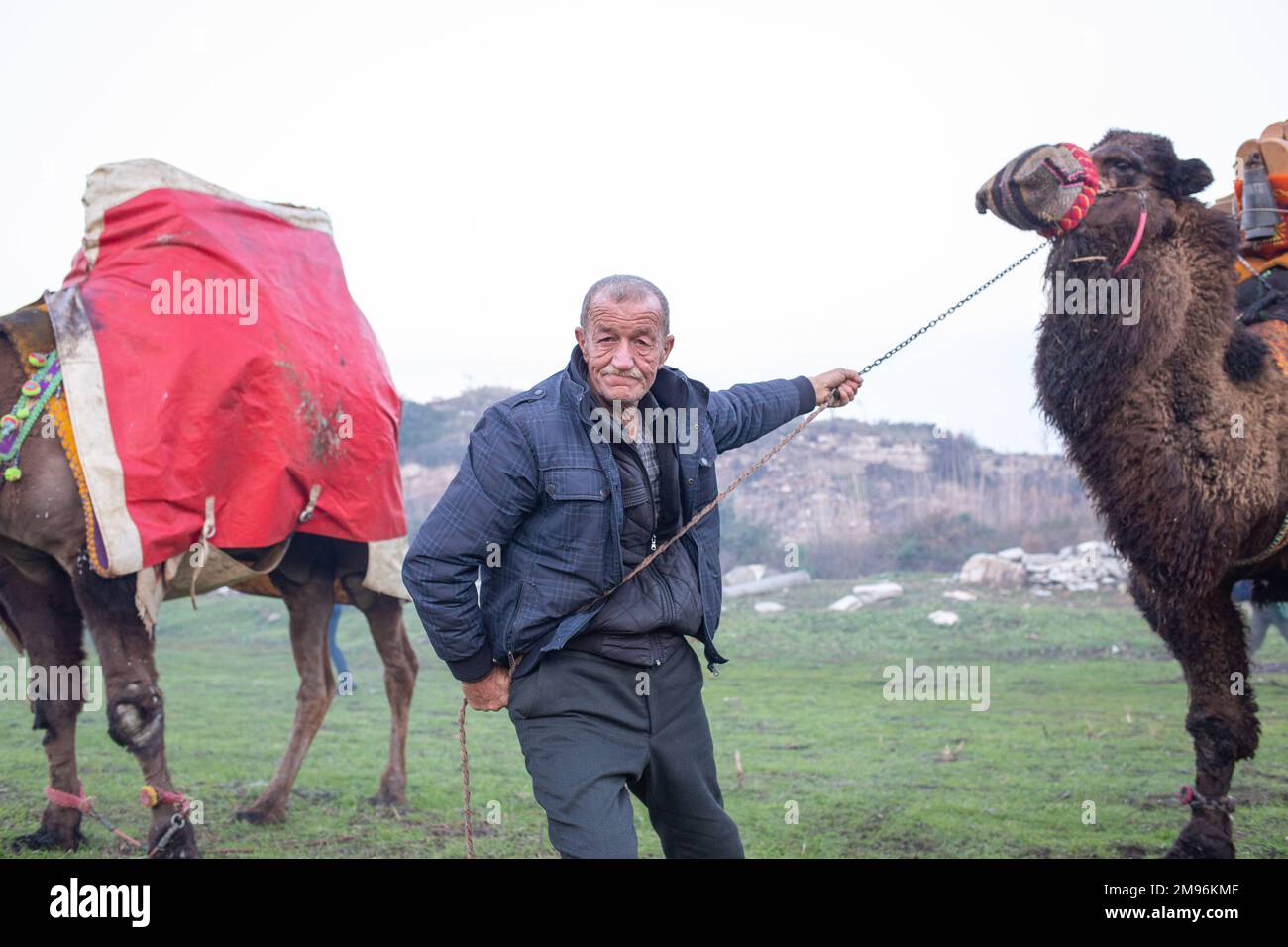 15. Januar 2023: Kamelwrestling-Zuschauer und Kamelbesitzer betreten die Arena früh am Morgen und beginnen die Vorbereitungen für das 41. Traditionelle Kamelwrestling-Festival in Selcuk, Aydin, Türkei am 15. Januar 2023. Im Januar findet jedes Jahr die jährliche Kamelwrestling-Meisterschaft statt, die nur wenige Kilometer von Ephesus entfernt stattfindet, der Stätte der antiken griechischen Ruinen in der Nähe von Selcuk in der Türkei. Sie läuft bis Ende März, wenn ein Kamel bei einer siegreichen Feier als Sieger ausgewählt wird. (Kreditbild: © Tolga Ildun/ZUMA Press Wire) NUR REDAKTIONELLE VERWENDUNG! Nicht für den kommerziellen GEBRAUCH! Stockfoto