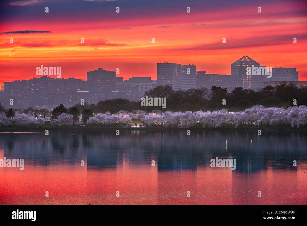 Washington, D.C. am Tidal Basin mit der Skyline von Arlington in der Abenddämmerung. Stockfoto